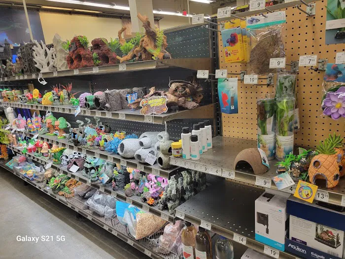 Petco Picture 9