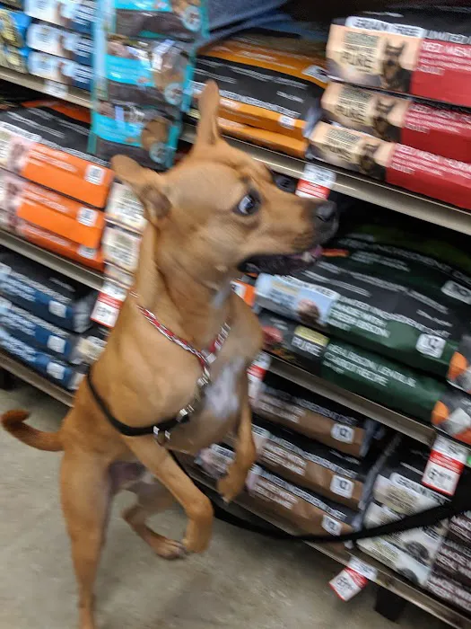 Petco Picture 8