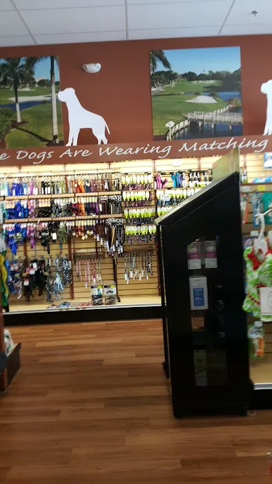 Pet Supermarket Picture 3