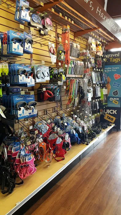 Pet Supermarket Picture 4