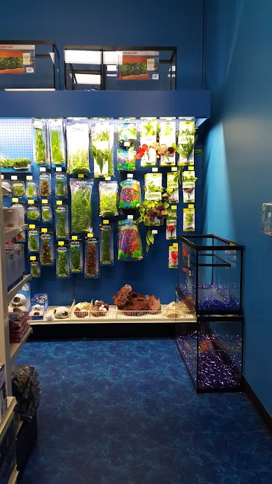 Pet Supermarket Picture 7