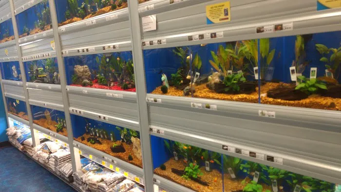 Pet Supermarket Picture 6