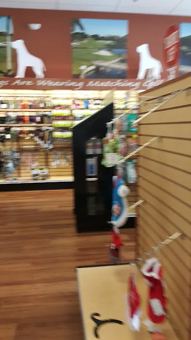 Pet Supermarket Picture 9