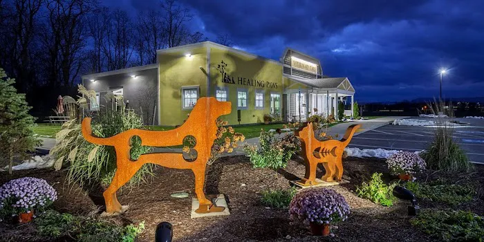 Healing Paws Veterinary Care Picture 1