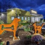 Healing Paws Veterinary Care