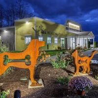 Healing Paws Veterinary Care ico