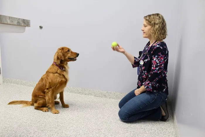 Healing Paws Veterinary Care Picture 6