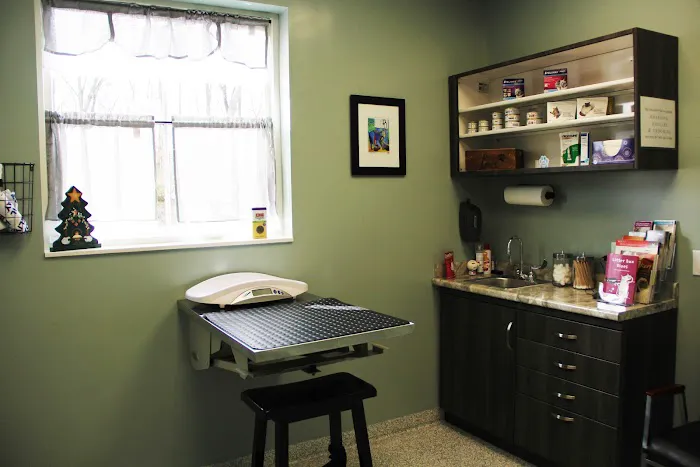 Healing Paws Veterinary Care Picture 8