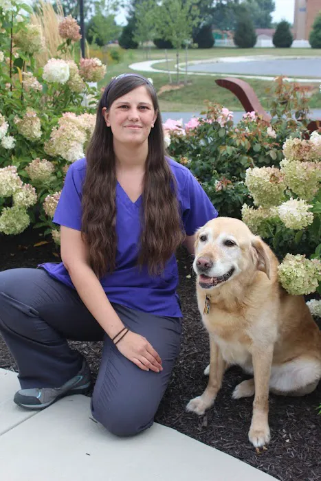 Healing Paws Veterinary Care Picture 10