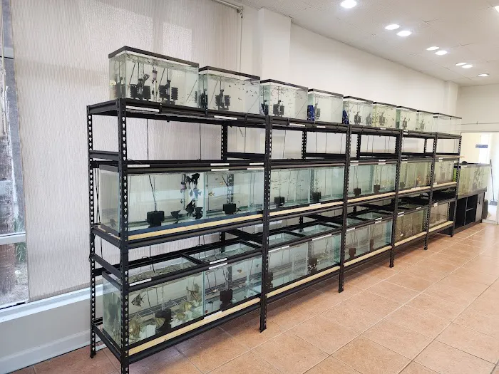 Colorful Aquariums LLC Picture 5