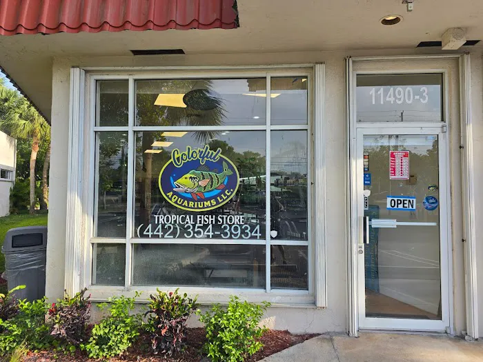 Colorful Aquariums LLC Picture 1