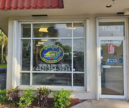 Colorful Aquariums LLC