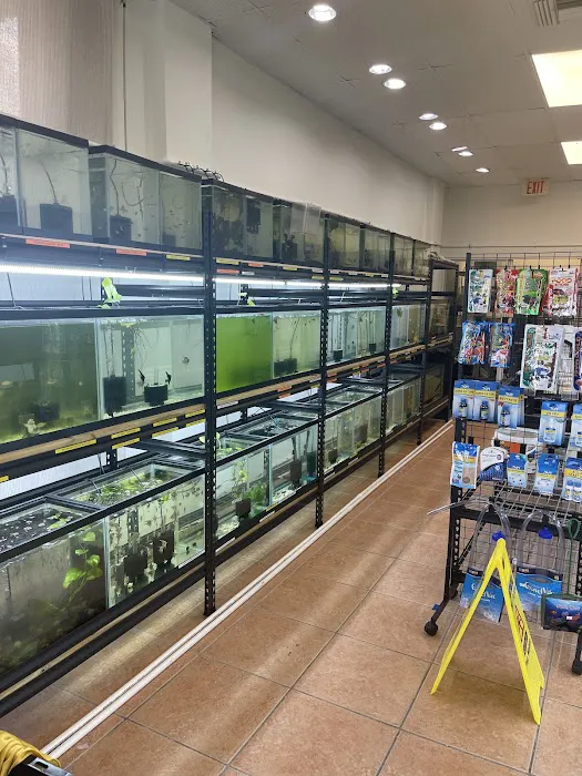 Colorful Aquariums LLC Picture 9