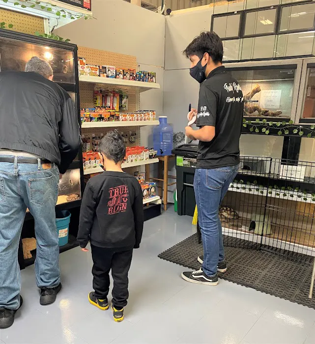 Freddy's Reptiles, LLC Picture 3