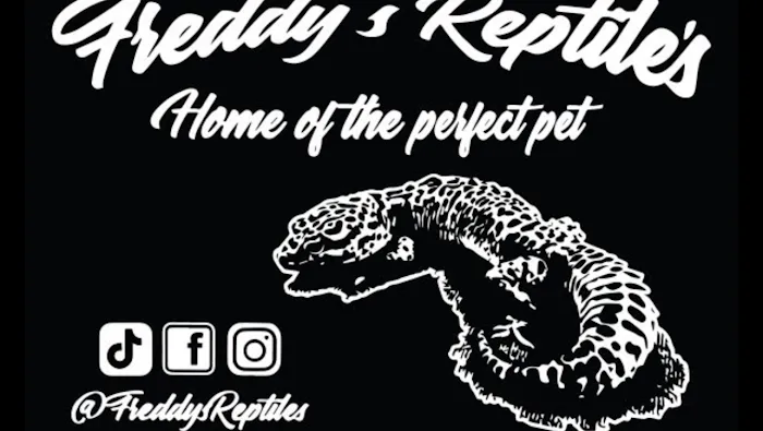 Freddy's Reptiles, LLC Picture 4