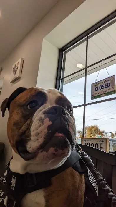 Wags to Whiskers Veterinary Clinic Picture 4
