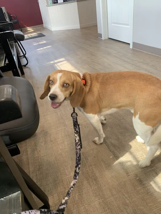 Wags to Whiskers Veterinary Clinic Picture 6