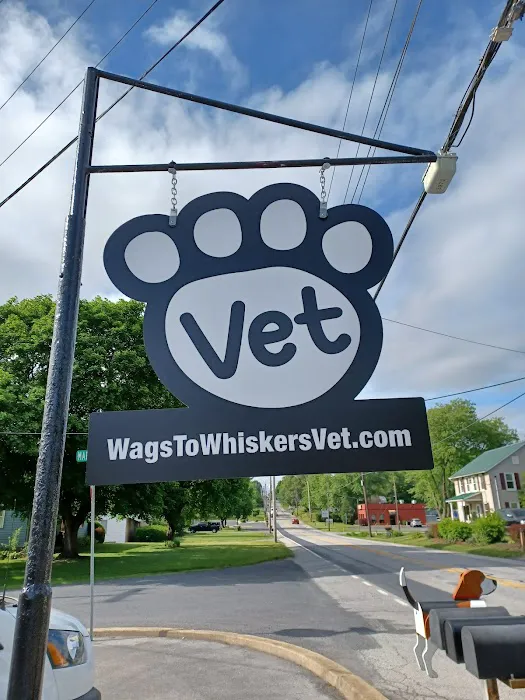 Wags to Whiskers Veterinary Clinic Picture 10