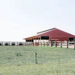Genetic Visions Veterinary Services