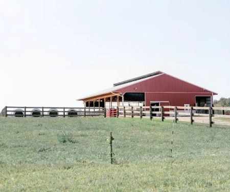 Genetic Visions Veterinary Services