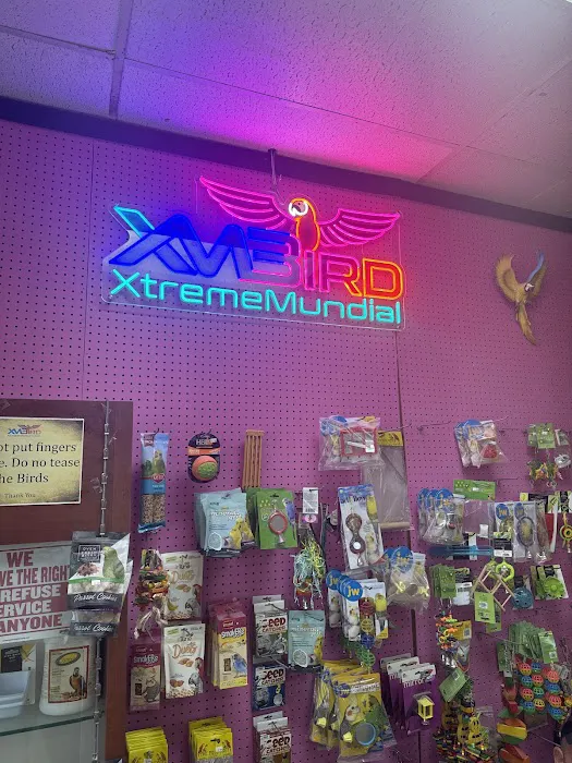 XtremeMundial Birds Picture 2