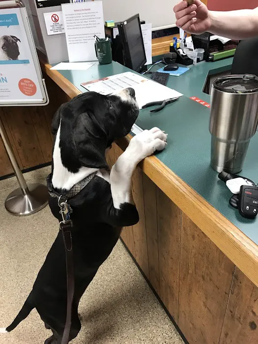 Allen Road Veterinary Clinic Picture 3