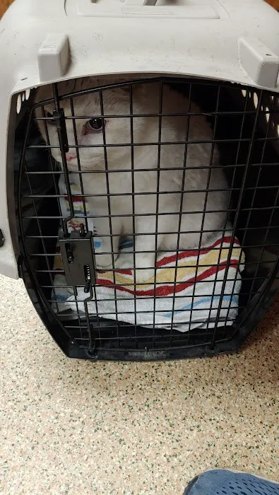 Allen Road Veterinary Clinic Picture 8