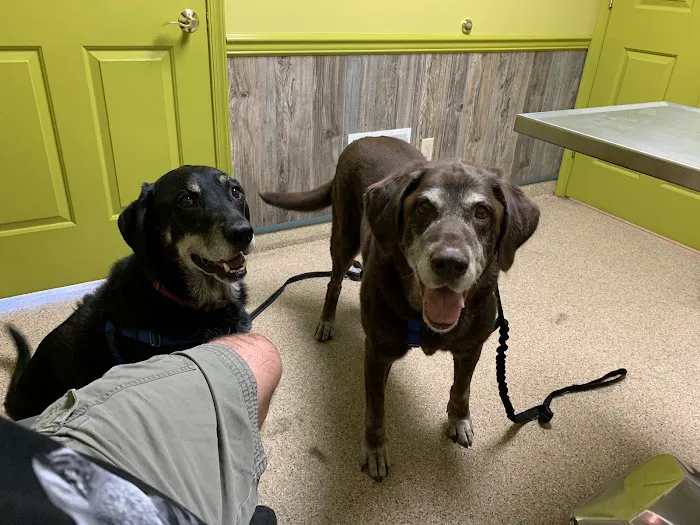Allen Road Veterinary Clinic Picture 10
