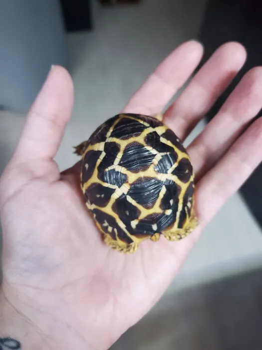 TortoiseSupply.com Picture 1