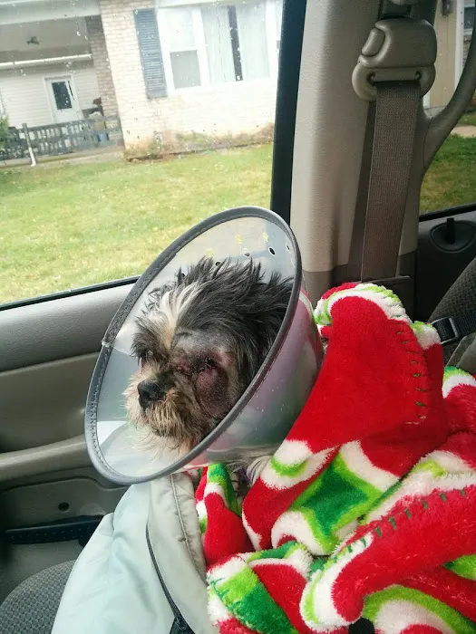 Northside Veterinary Clinic Picture 3