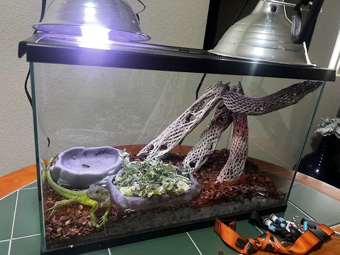 Levon The Snake Man Picture 8