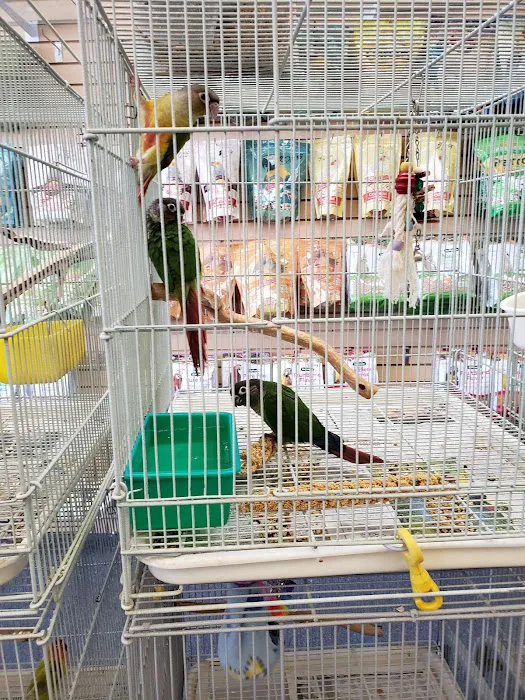 Xtreme Mundial Birds Picture 1