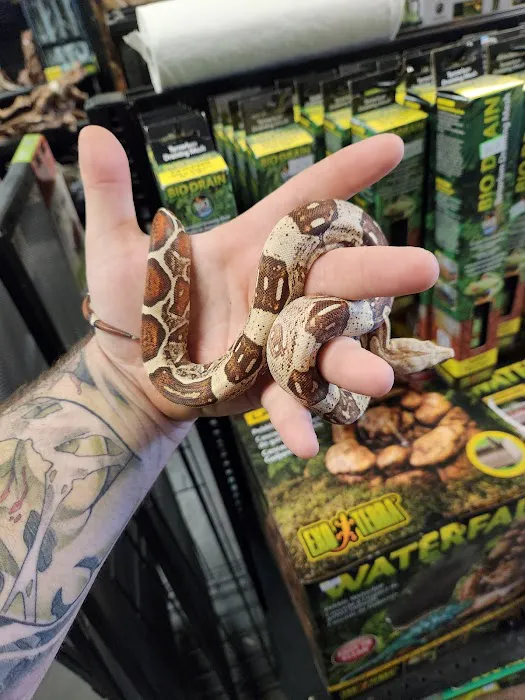 Pet Planet LLC Picture 2
