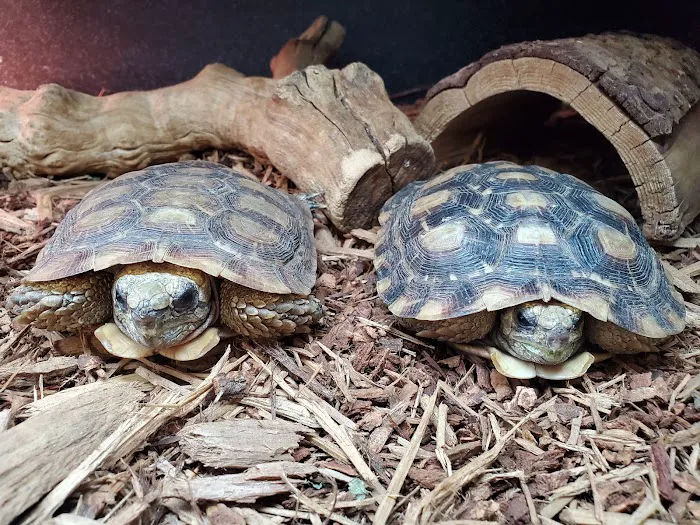 Pet Planet LLC Picture 4