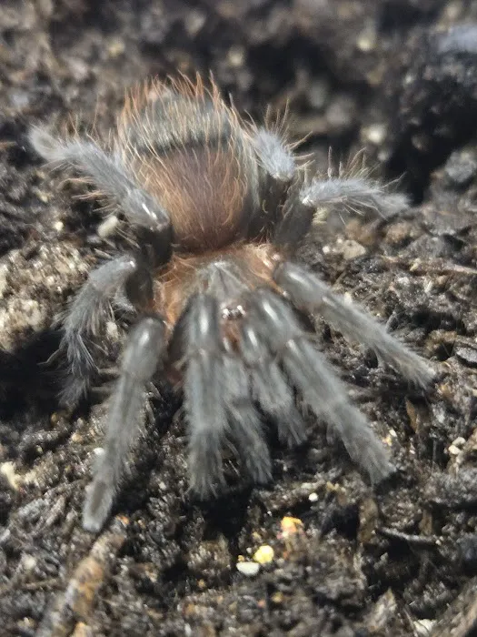 Pet Planet LLC Picture 6