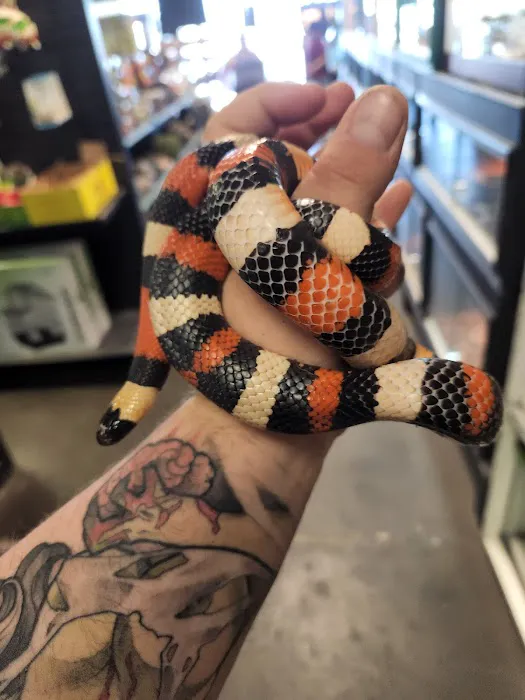 Pet Planet LLC Picture 7