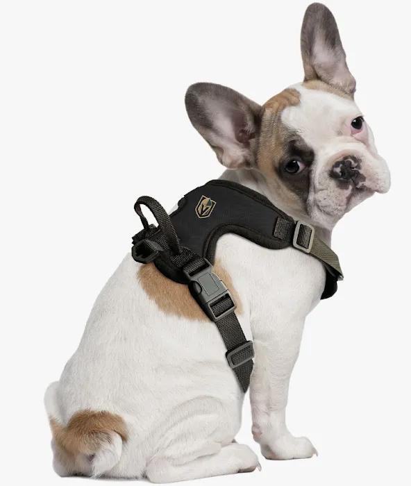 Coco’s Natural Pet Supply & Boutique Picture 6