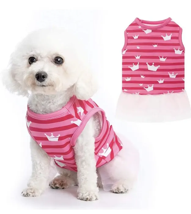 Coco’s Natural Pet Supply & Boutique Picture 10