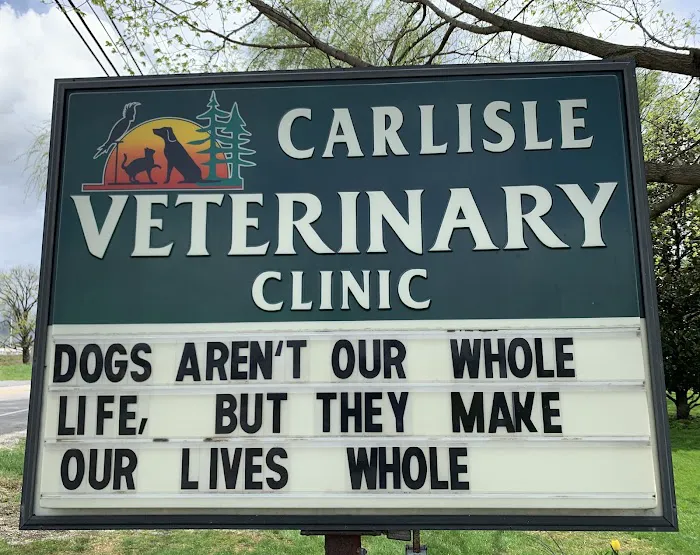 Carlisle Small Animal Veterinary Clinic Picture 3