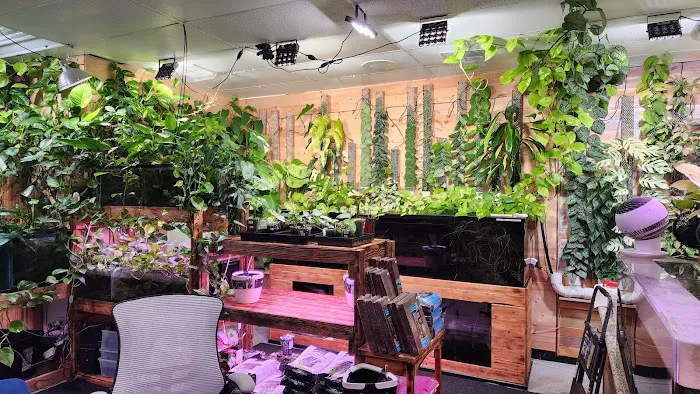 Mike & Miguel's Fish and Plant Store Picture 1