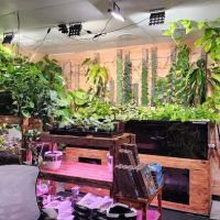Mike & Miguel's Fish and Plant Store ico
