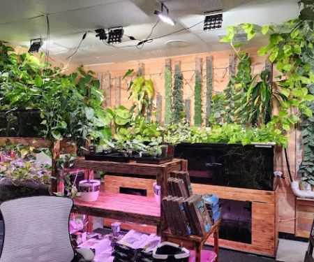 Mike & Miguel's Fish and Plant Store