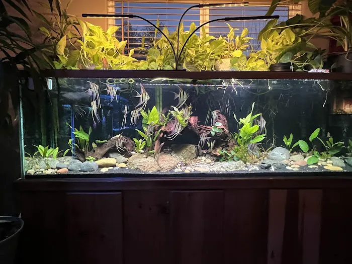 Mike & Miguel's Fish and Plant Store Picture 4