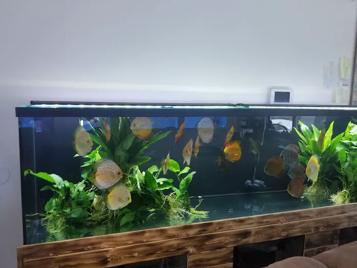Mike & Miguel's Fish and Plant Store Picture 7