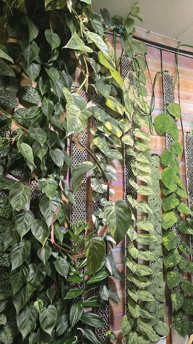 Mike & Miguel's Fish and Plant Store Picture 6