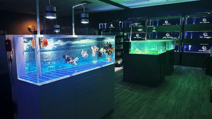 J&Y Aquarium Picture 3