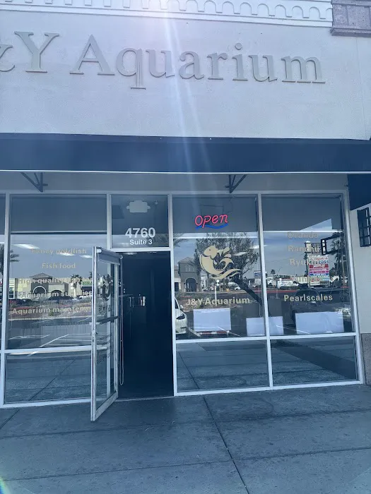 J&Y Aquarium Picture 1