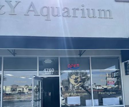 J&Y Aquarium