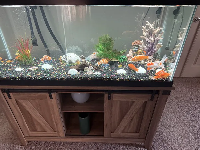 J&Y Aquarium Picture 5