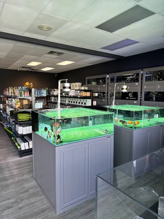 J&Y Aquarium Picture 8
